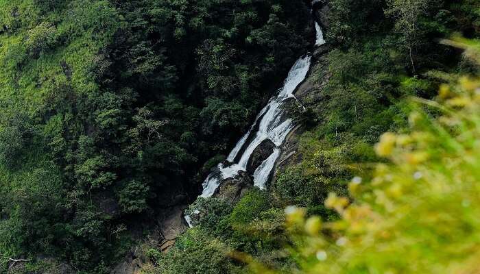 Parunthumpar hills, Kerala