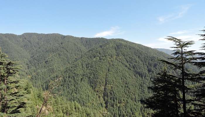 Shimla Water Catchment Wildlife Sanctuary