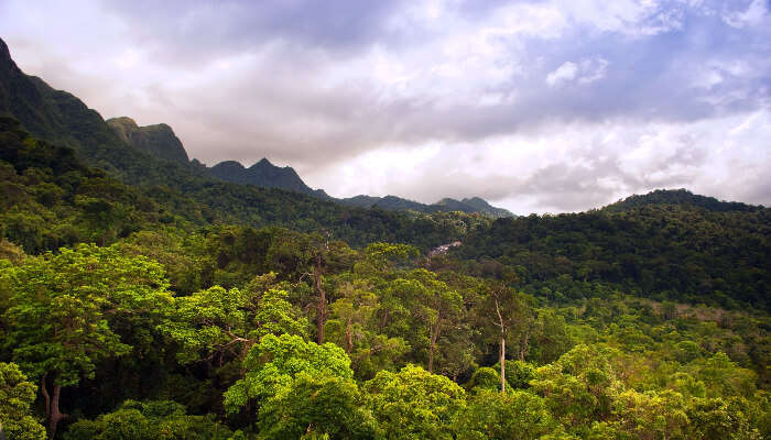 Disover this top places to visit in langkawi for thrilling Zipline Adventure.