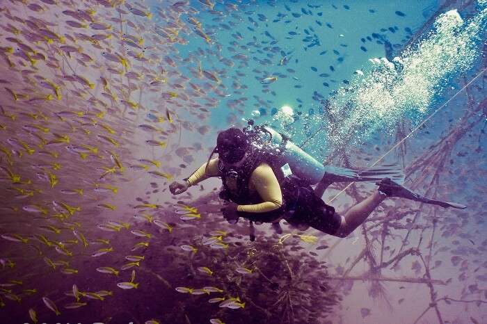 A person undertakes scuba diving through the natural coral reefs at Pondicherry