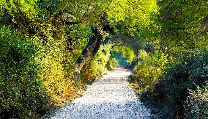 Bharatpur Bird Sanctuary  - Places to visit near Delhi in March