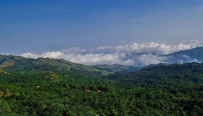 Brahmagiri Hills—for a visual treat