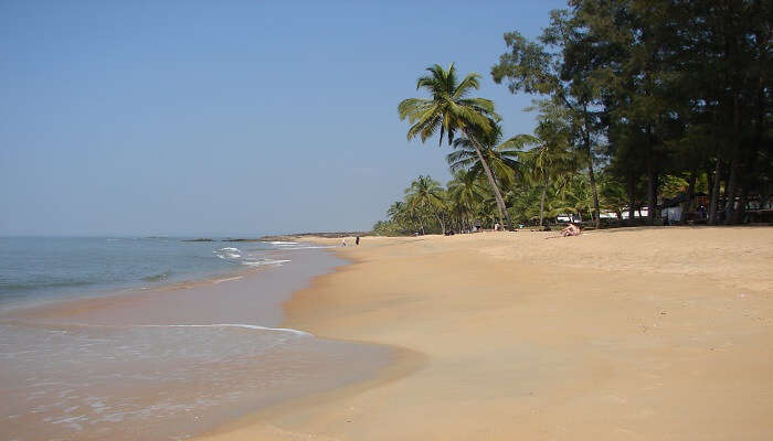 Kappad beach at its finest among other beaches near Palakkad