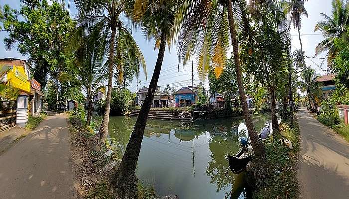 Kumarakom Market, Kerala