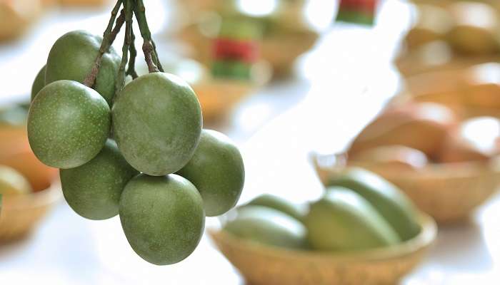 Eating mango on the international mango day are among the best things to do in Delhi in summer