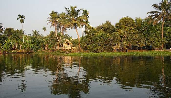 Nedumudy village in Alleppey