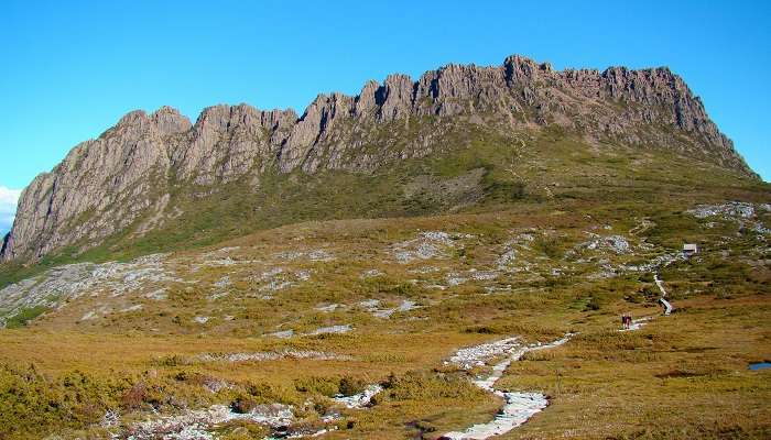 Walk the overland track in tasmania in january