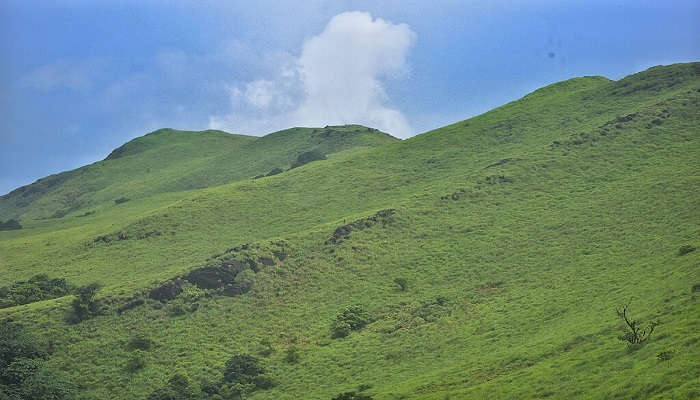  Paithalmala - the most romantic hill stations near Kannur