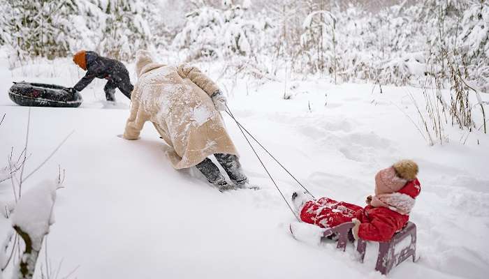 Sledding is the fun activity to do in Manali 