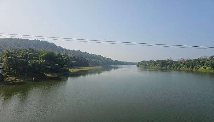 View of the Thattekad River