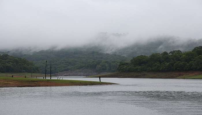 Thekkady Lake, Kerala