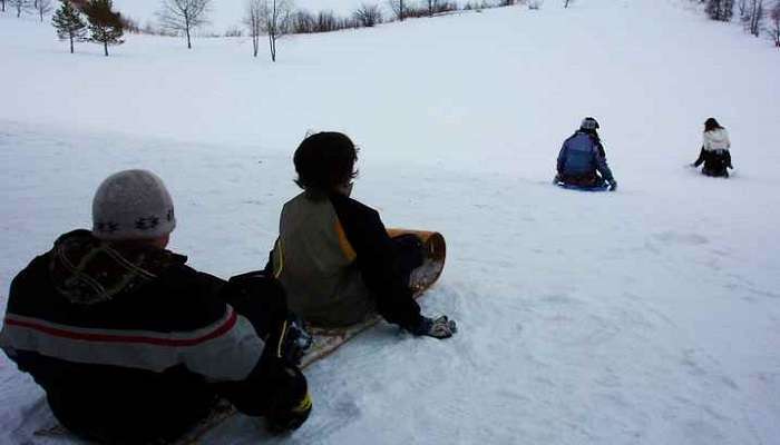 Kufri is becoming a go to place for this old popular snow sport – tobogganing.