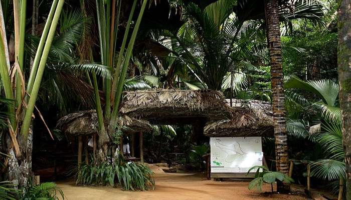 visit Vallee De Mai Tour in march