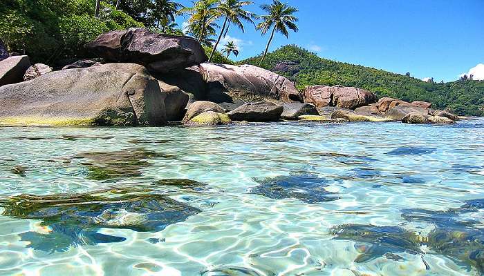 Weather Of The Seychelles In March