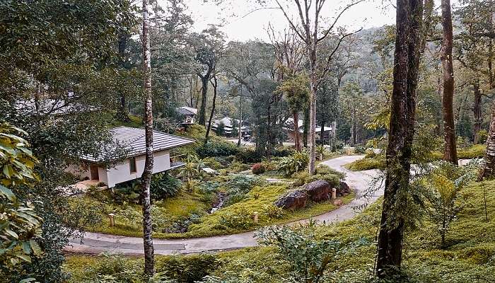 Relax, Rejuvenate, Recharge