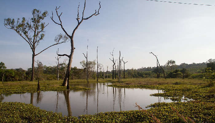 Mondul kiri in Cambodia