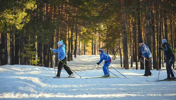 There is an annual winter sports festival that is organised every year in the town of Kufri.