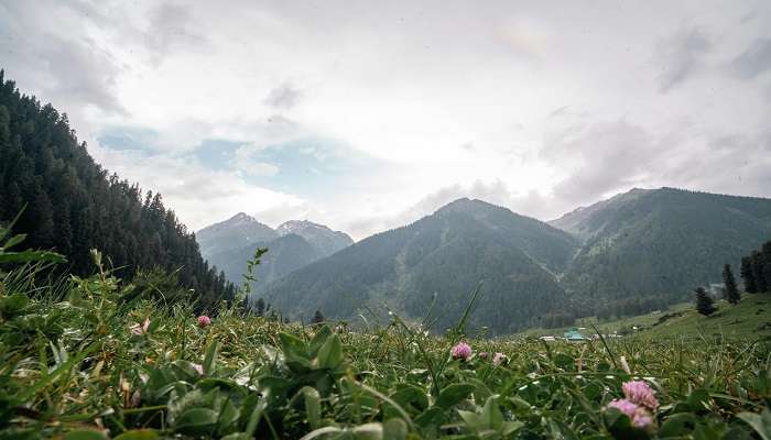 Why Choose Pahalgam For Winter Vacation
