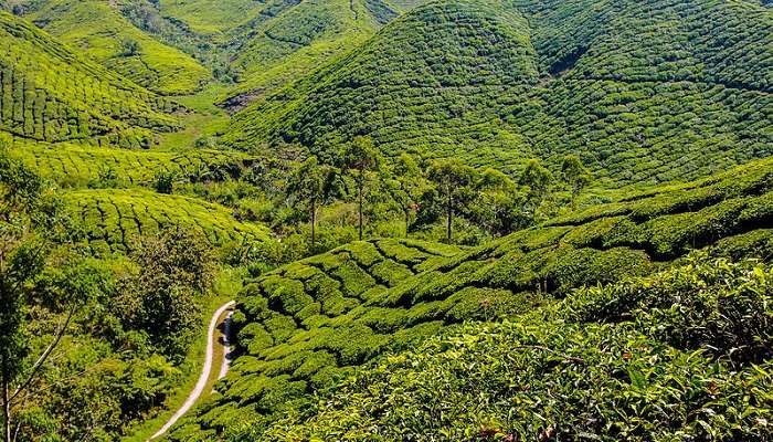 In july you can't miss the Rainforest World Music Festival of Malaysia.