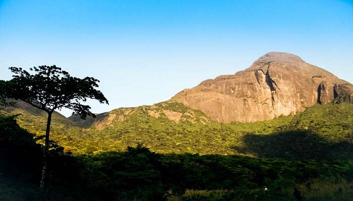 Agasthyarkoodam Peak