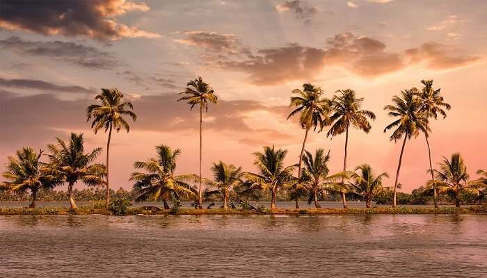 Houseboats in Alleppey 