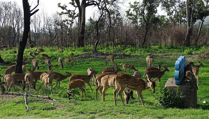 one of the best getaways from Bangalore