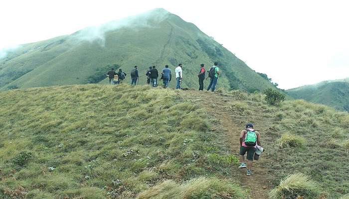 Meesaplimala- The best trekking in Kerala