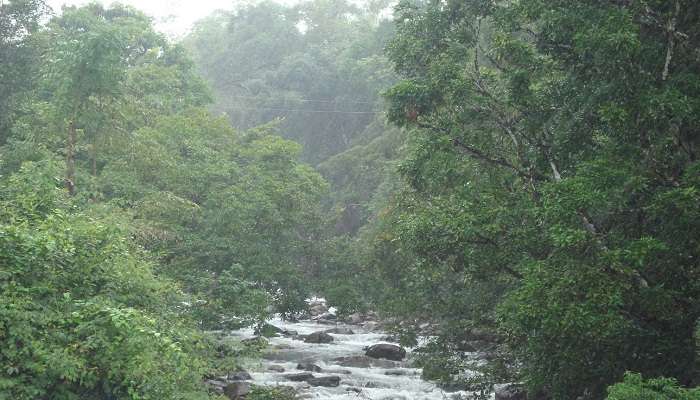 The surreal greenery in Soochipara falls near the Chalippuzha River, a spot for river rafting in Kerala