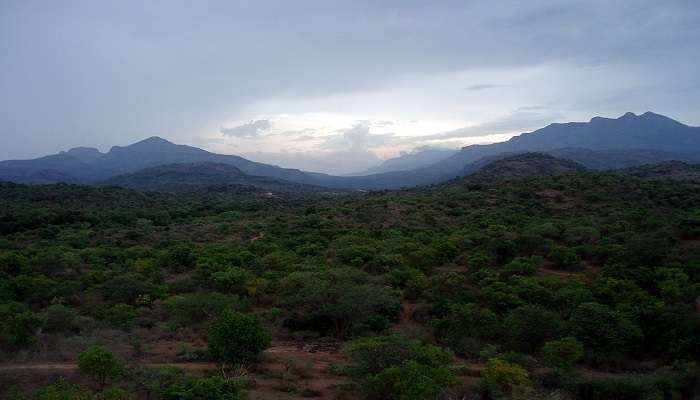 View from Chinnar Wildlife Sanctuary