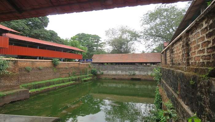 The beauty of Chottanikkara Bhagavathy temple in Kerala.
