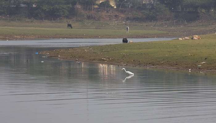 Damdama Lake in Gurgaon, one of the best picnic spots near Delhi in summer