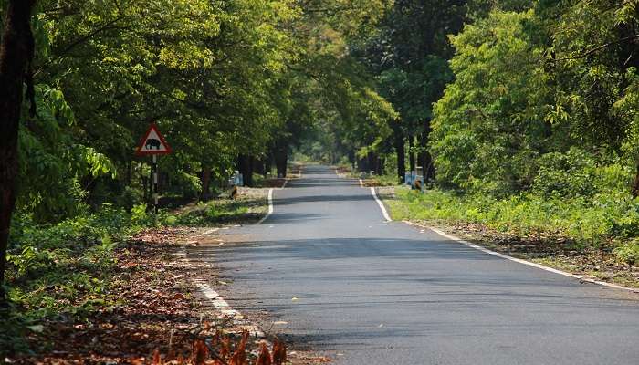 A stunning view of roads in Dooars