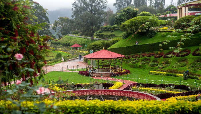 A wonderful view of serene gardens and pristine lakes of Ooty , is one of the best honeymoon places in Ooty