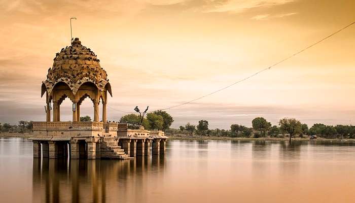 Gadisar Lake - Bird Watching