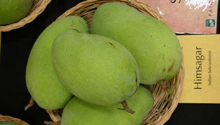 International Mango Festival