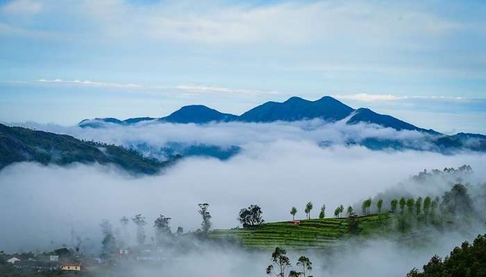 Kannan Devan Hills, trekking in Munnar