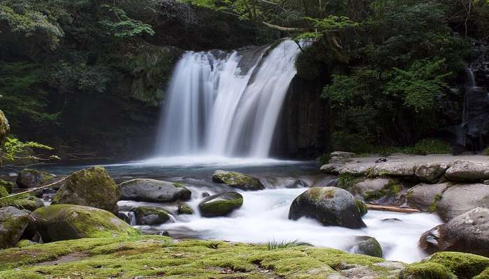 A delightful view of Kesarval Waterfalls in Goa