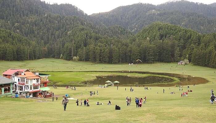 Khajjiar ground surrounded by tall deodar trees