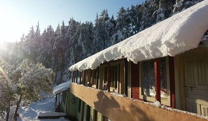 The guesthouse has an extensive library