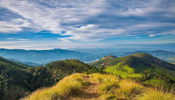 Kolukkumalai Peak Trek