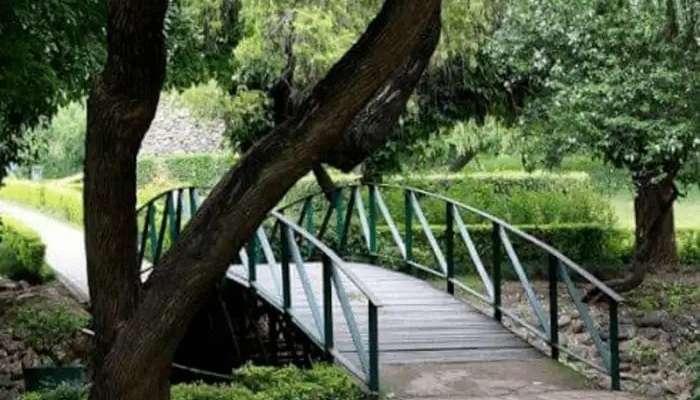 Take A Stroll Amidst Greenery