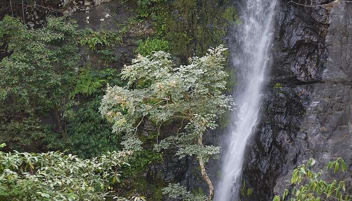 A charming view of Mainapi 