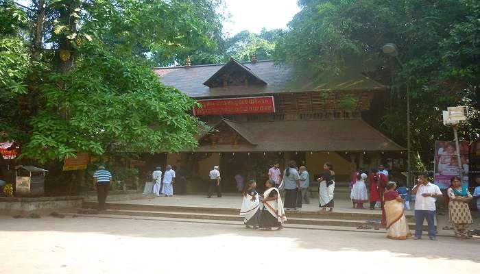  An early morning view of the Mannarasala Nagaraja temple.
