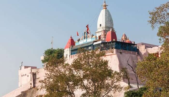 Visit in Mansa Devi Temple