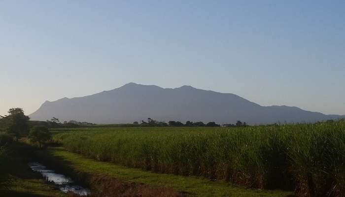 Hiking In Cairns