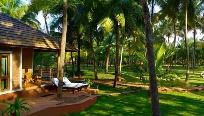 Kerala Ayurveda experiences