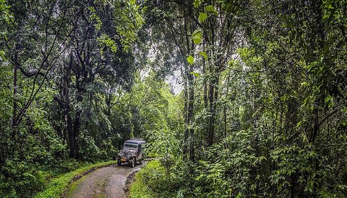 Nelliyampathy hill stations, Kerala