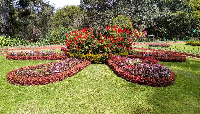 A beautiful view of garden in Ooty 