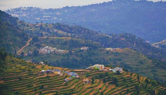 The meadows of Panjpulla