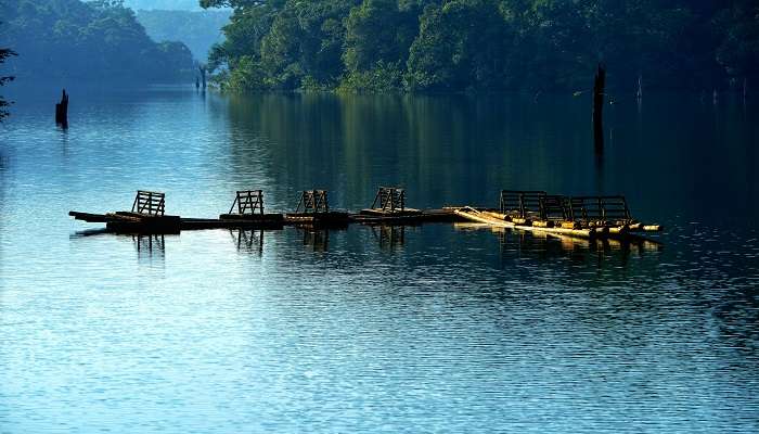 Periyar river at its best for river rafting in Kerala.